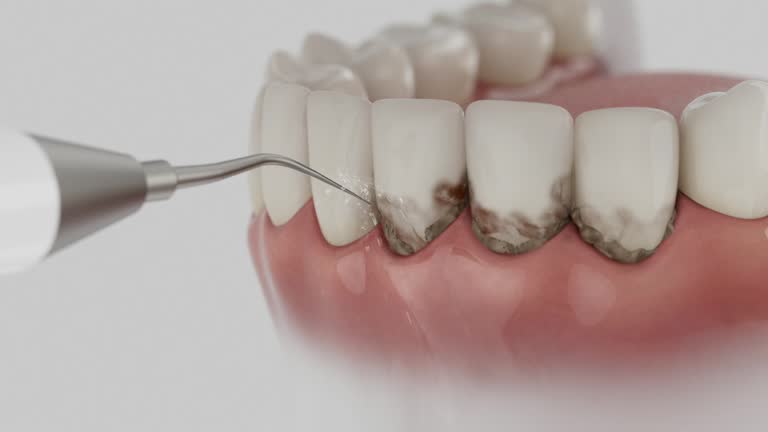 Reliable Dental contractor in Georgetown, SC by Dentist Open Now